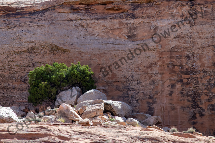 Rock cliff - Moab, UT