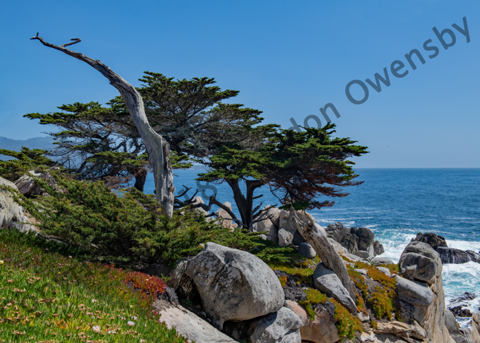 Shoreline - Monterey, CA
