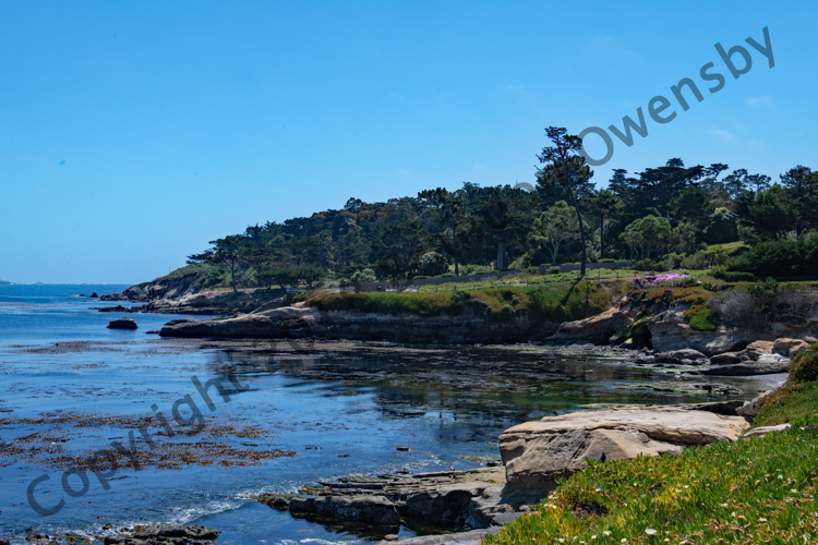 View from Pebble Beach - Monterey, CA