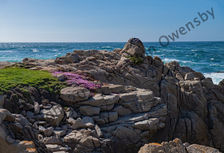 Coastal Scene - Monterey, CA