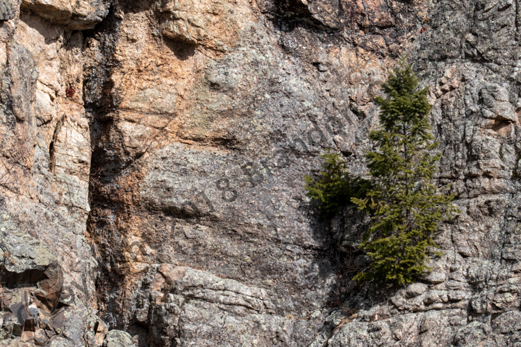 Estes Park, CO