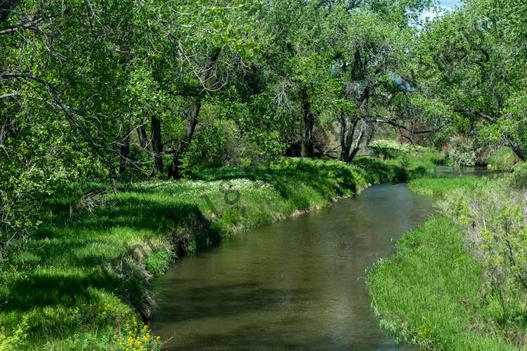 Big Thompson River - Big Thompson Ponds State Wildlife Area, Loveland, CO