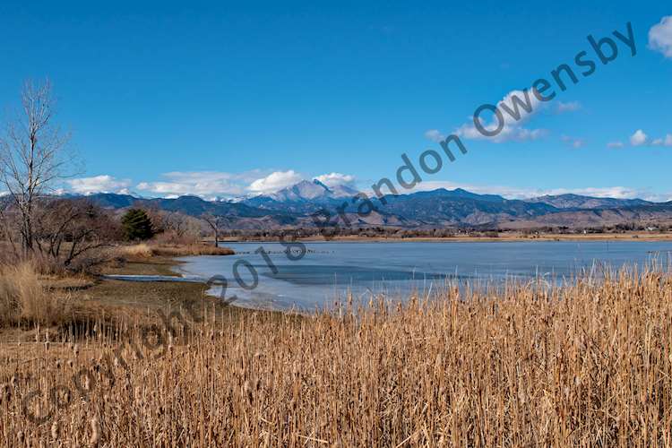 McIntosh Lake - Longmont, CO